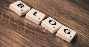 how to write a blog essay: blog examples for beginners